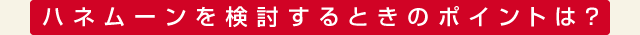 ハネムーンを検討するときのポイントは？